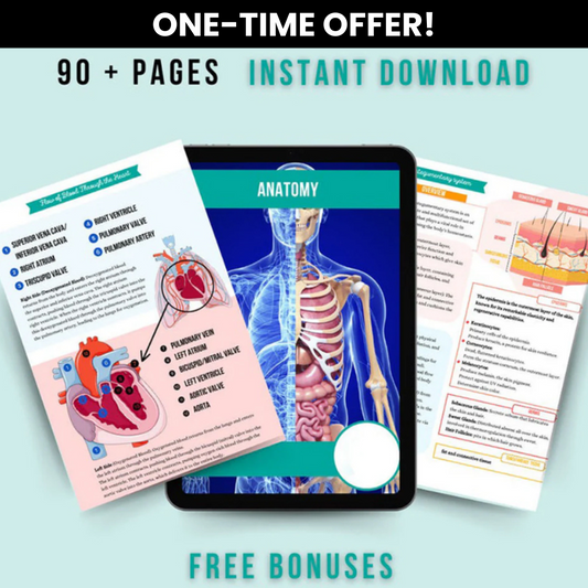 The Ultimate Anatomy and Physiology Bundle (90+ Pages)