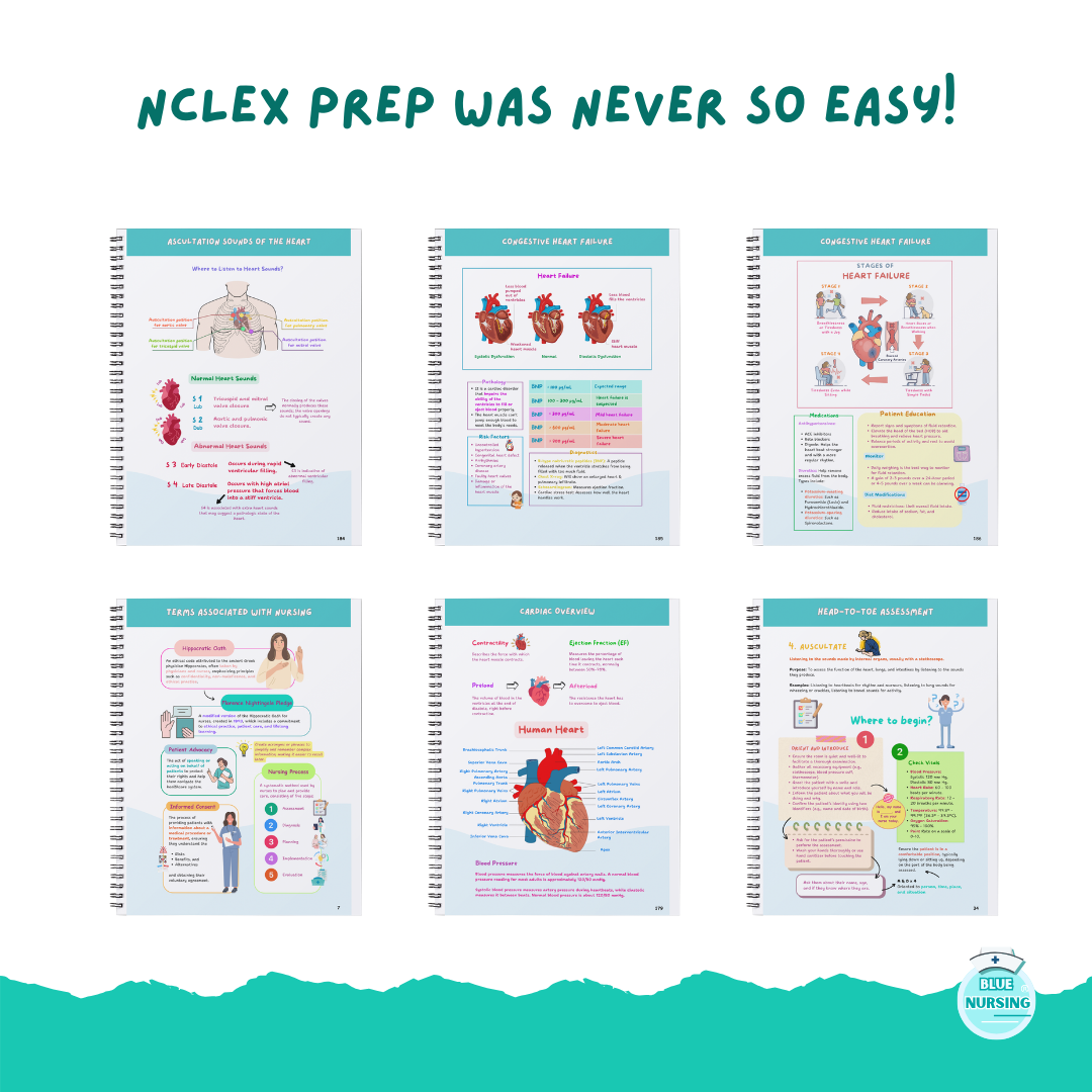 The All-in-One Nursing School Bundle (90% OFF)